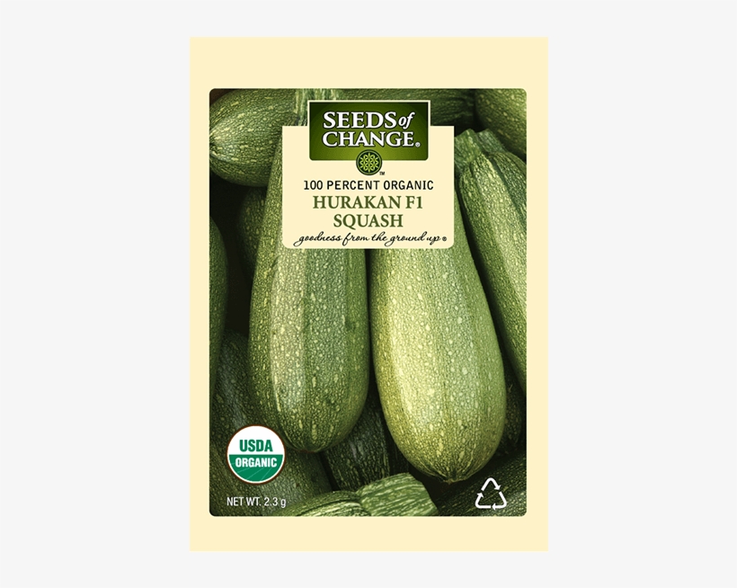 Organic Hurakan F-1 Squash Seeds - Seeds Of Change 21076 Organic Zesty Cln Quinoa Blend, transparent png