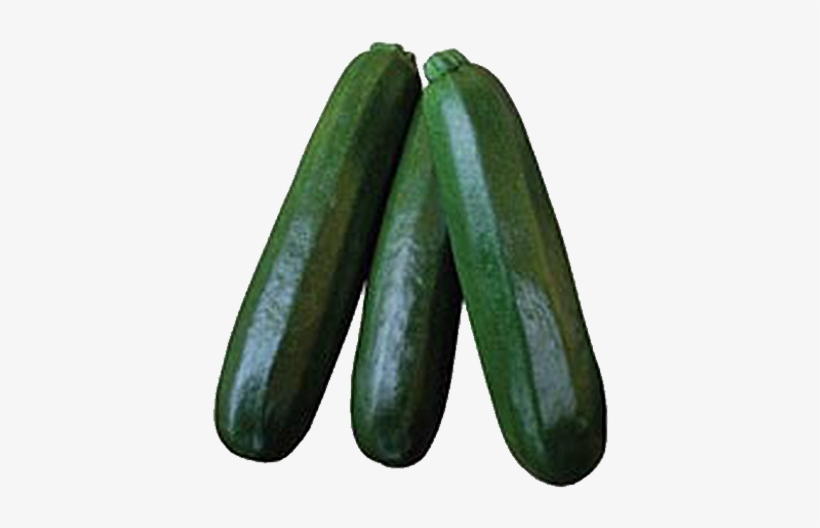 Commercial Seeds / Fruity / F1 Zucchini - Zucchini, transparent png