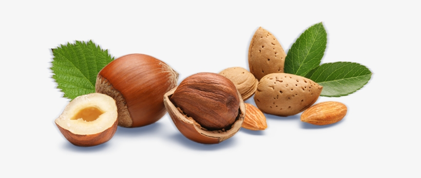 Hazelnut & Almond - Blvk Unicorn, transparent png