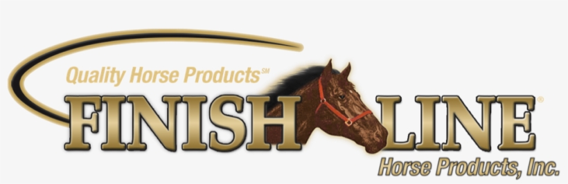 August 31, 2018 975 × 279 Finish Line - Quality Challenge, transparent png