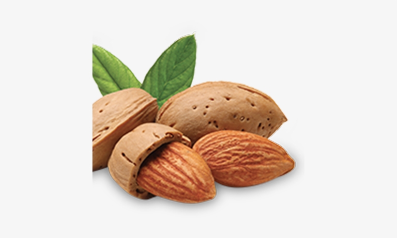 Almonds, transparent png