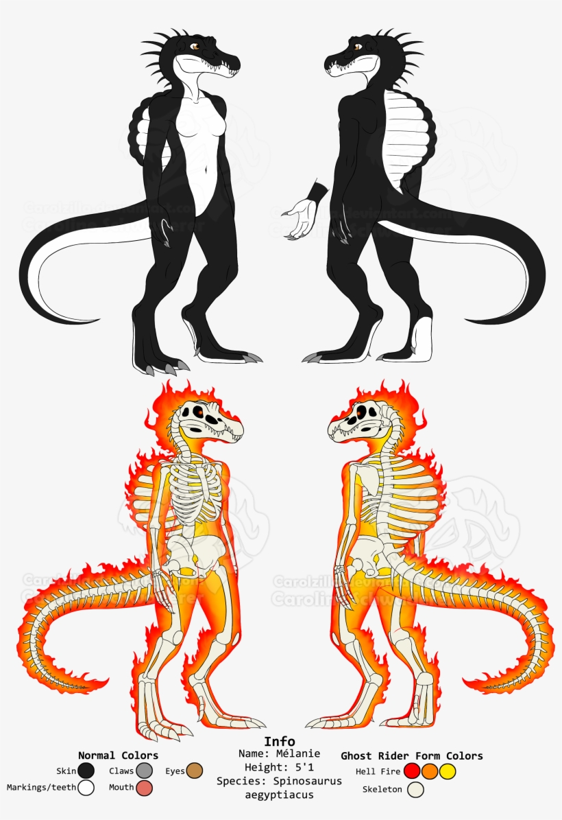 Spino Anthro And Ghost Rider Ref Sheet - Art, transparent png