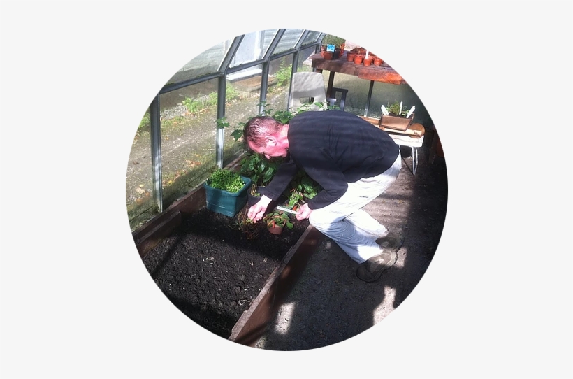 Gardening - Png - Mulch, transparent png