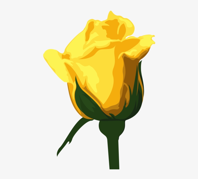 Yellow-rose - Yellow Rose Png, transparent png