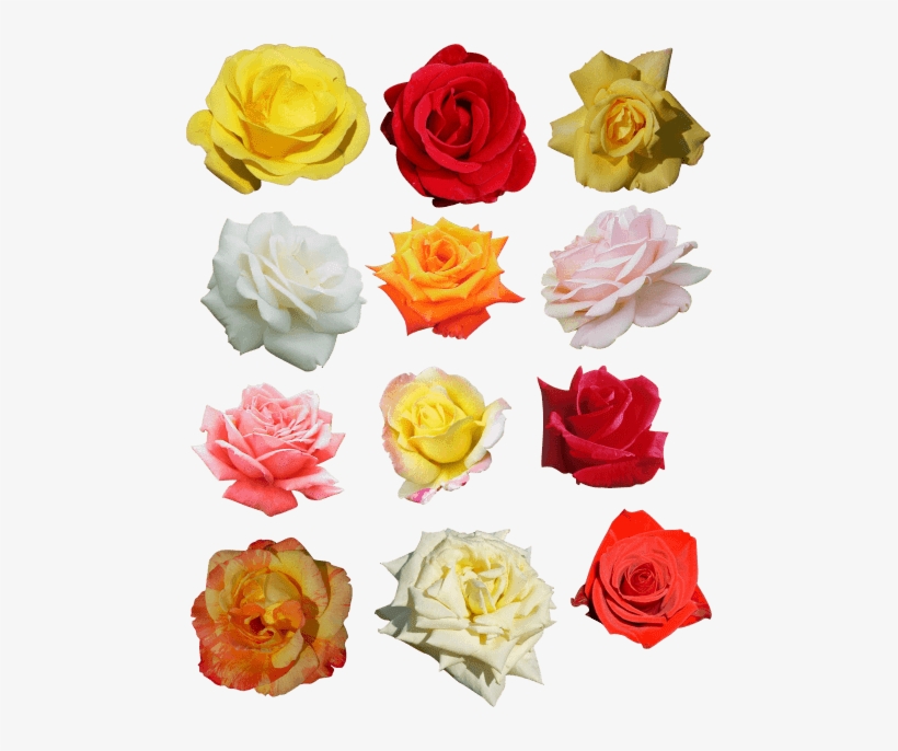 Free Png Rose Png Images Transparent - Lavera Deodorant Spray 75 Ml 75 Ml, transparent png
