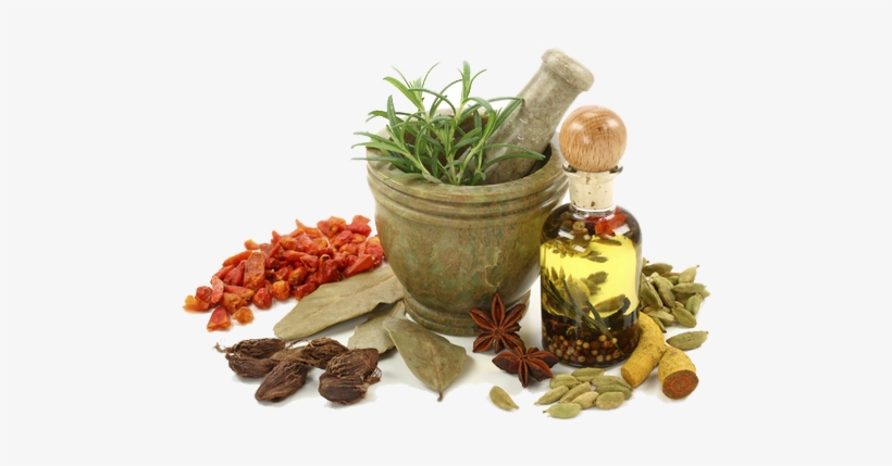 Uses Of Plants As Medicine, transparent png