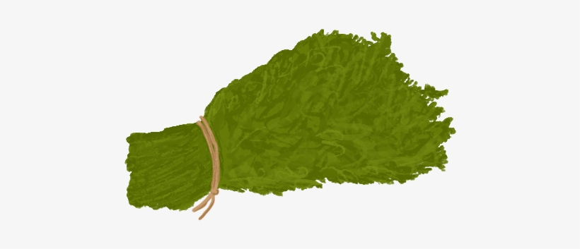 Herbs - Wiki, transparent png