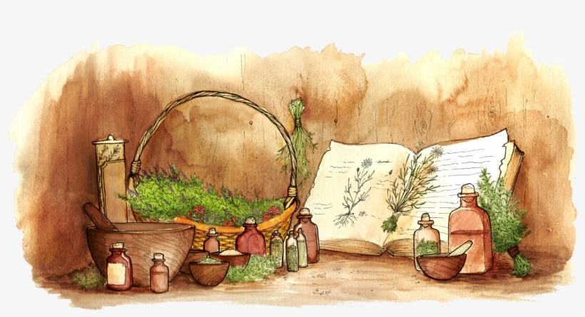 Herbs Cartoon Png, transparent png