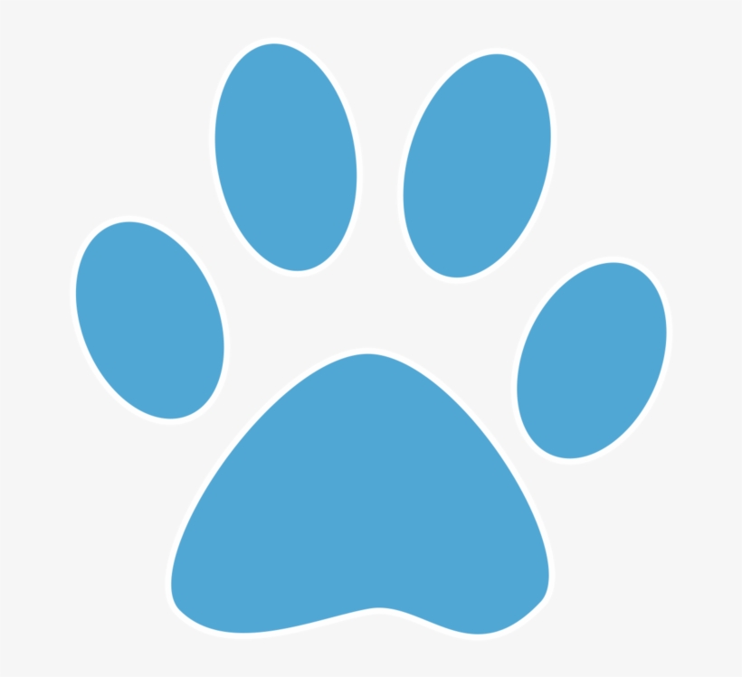 Pawb - Loss Of My Springer Spaniel, transparent png