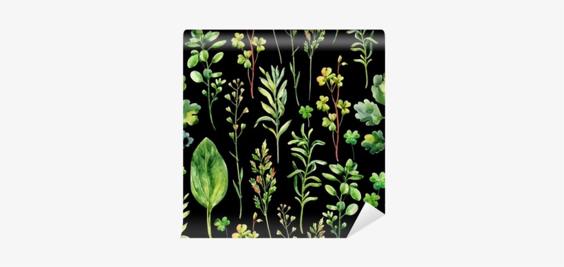 Watercolor Meadow Weeds And Herbs Seamless Pattern - Vinyl Wall Mural, transparent png