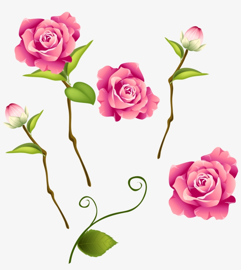 Rose - Pink Roses Butterfly Throw Blanket, transparent png