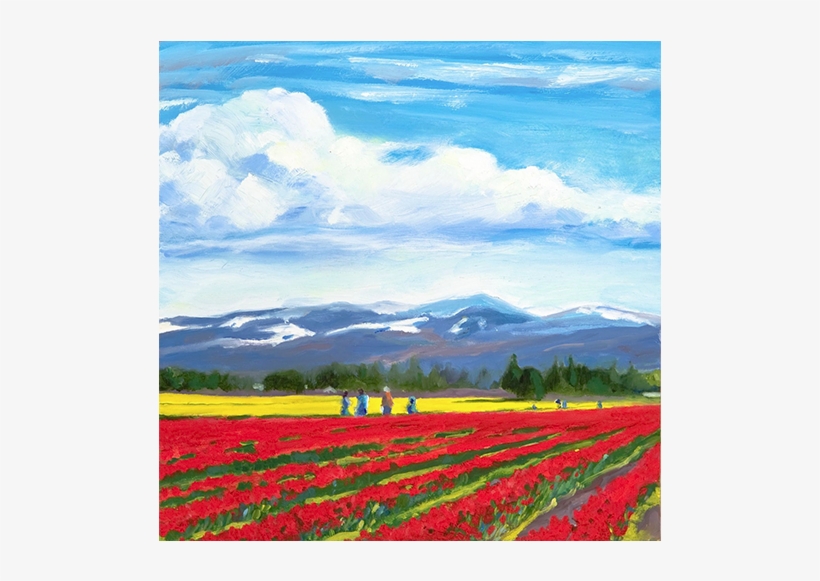 Slideshow Landscapes Pnw Skagit Tulip Field1 - Washington, transparent png
