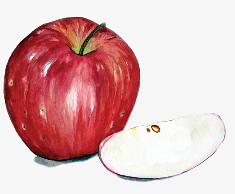 Apple 11 - Massachusetts, transparent png