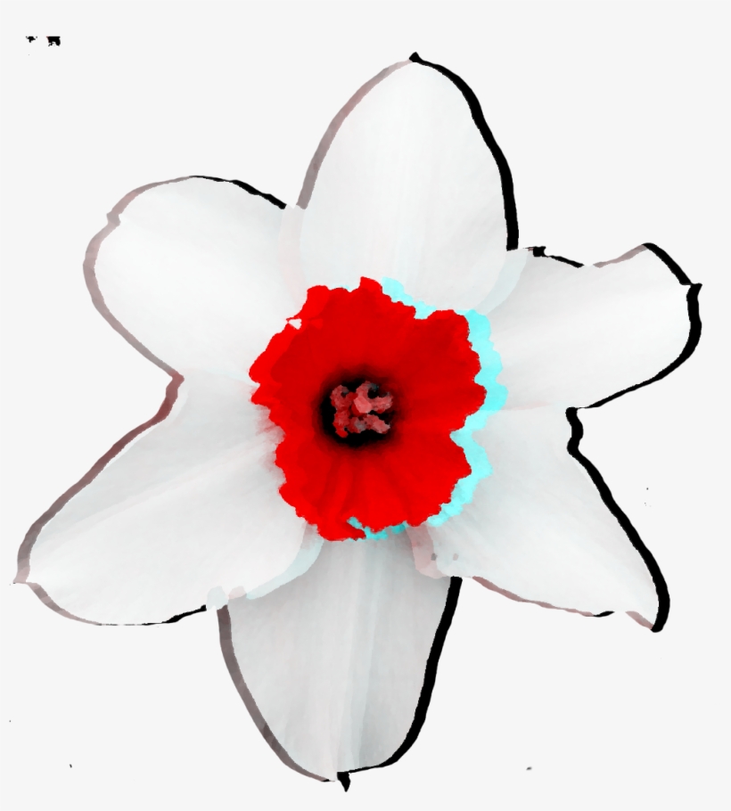 Flower Holga White Red Abstract Freetoedit - Artificial Flower, transparent png