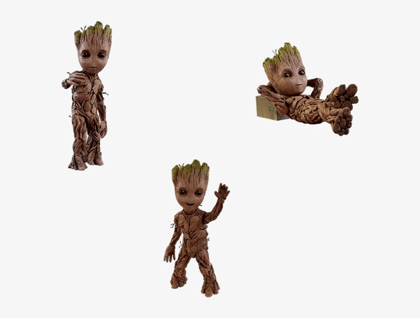lms004 groot