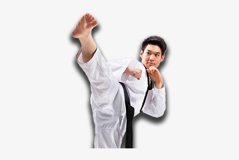 Adults Program Pg Images Martial Arts For Adults, transparent png