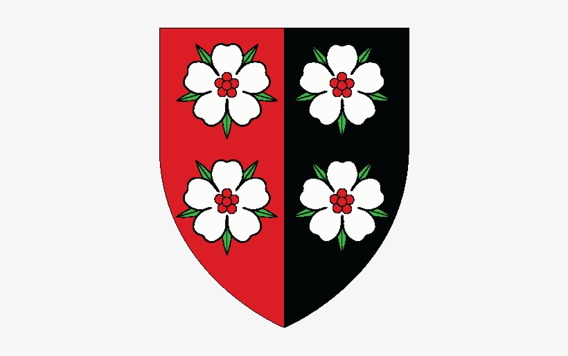 Arms-darius - Portable Network Graphics, transparent png