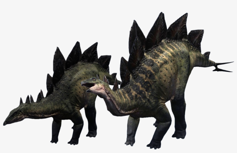 Stegosaurus Png Clipart - Dragon, transparent png