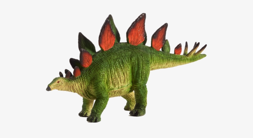 Stegosaurus, transparent png