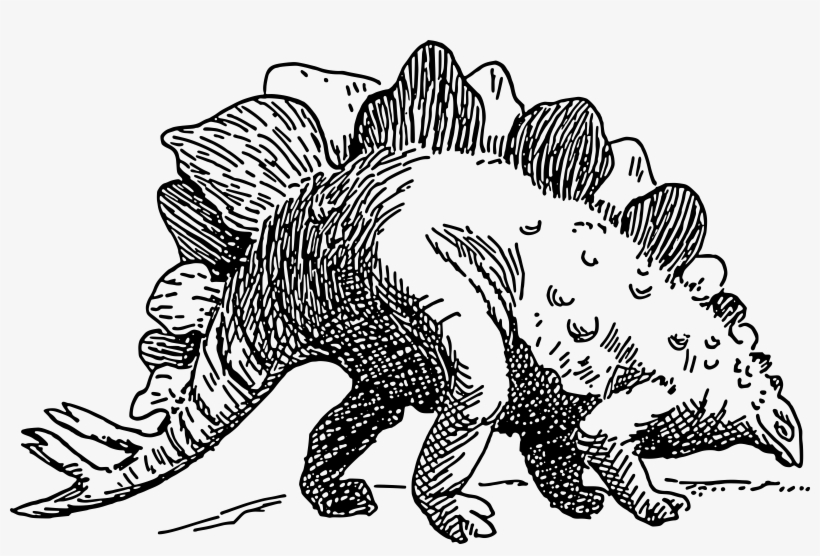 Dinosaur - Stegosaurus - Stegosaurus Clip Art Black And White, transparent png