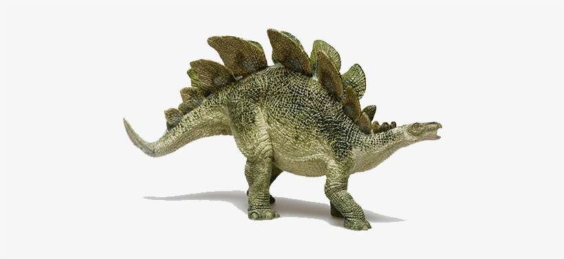Stegosaurus - Dinosaur From Jurassic Period, transparent png