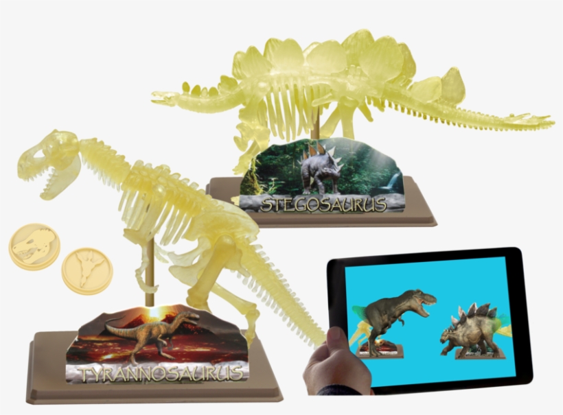 Ar Dinosaur Skeleton Museum - イーストコライト Ec28208 組み立て ステゴサウルス スケルトン 蓄光, transparent png