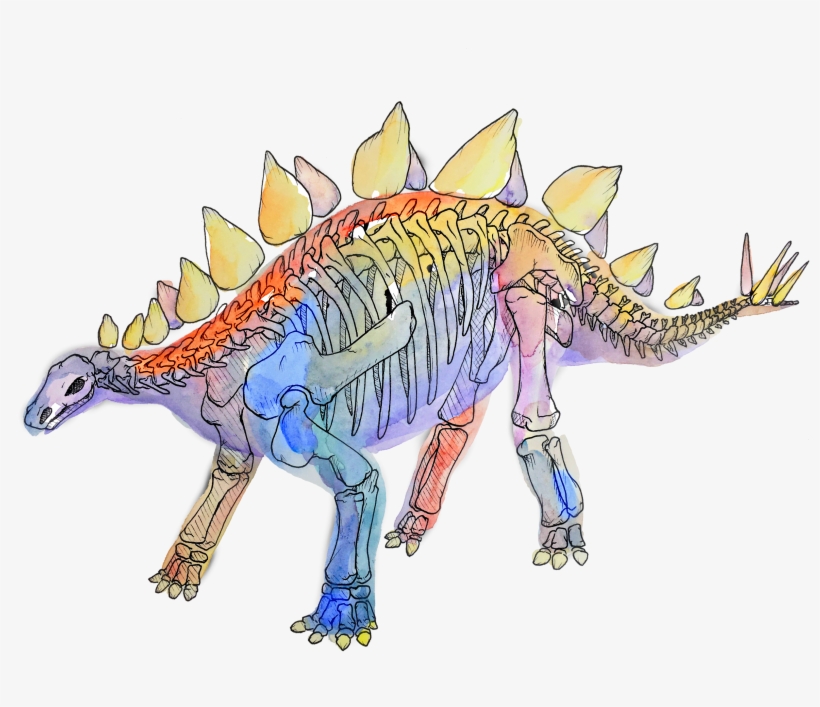 X-ray Dinosaurs And Other Prehistoric Creatures - Lesothosaurus, transparent png