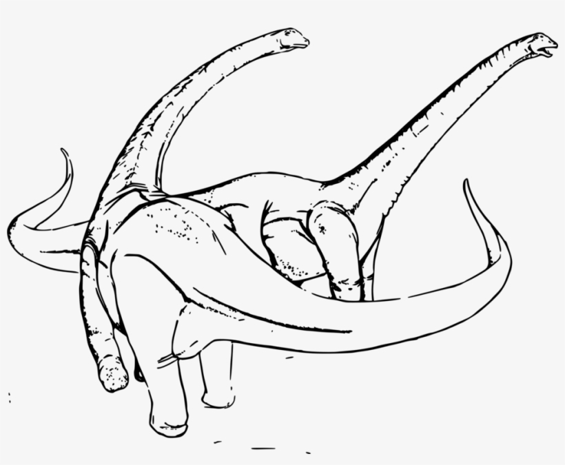 Alamosaurus Diplodocus Dinosaur Drawing Triceratops - Pobarvanka Dinozavri, transparent png