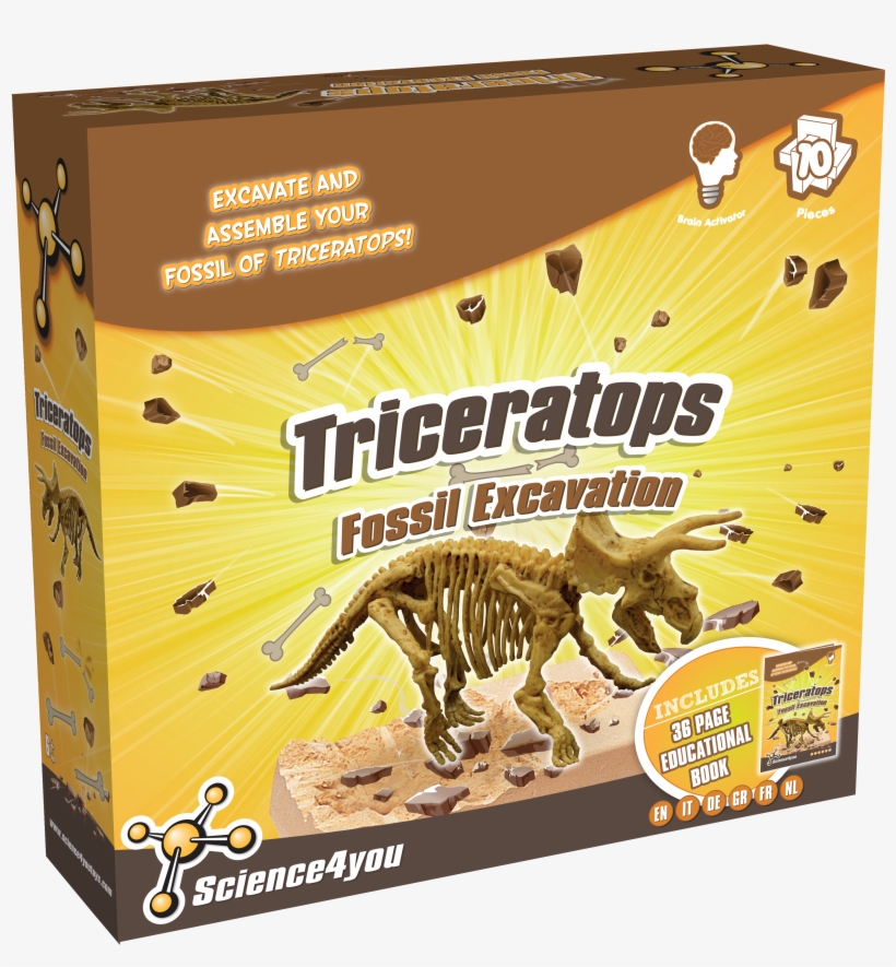 Fossil Excavation Triceratops, transparent png