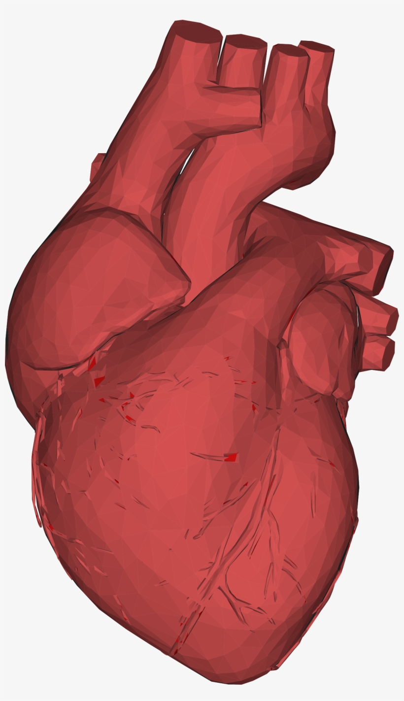 Low Poly 3d Heart Red Png Black And White - Corazon Organo Png, transparent png