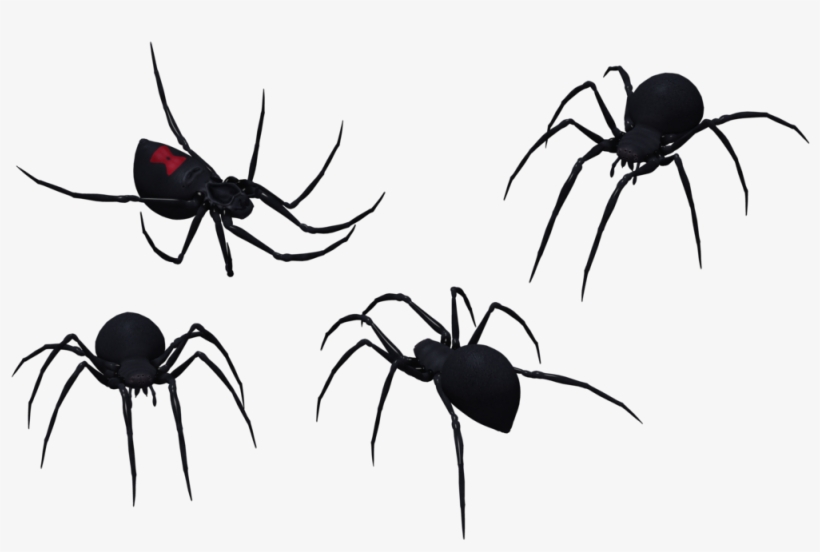 Black Widow Spider Png Graphic Royalty Free Stock - Black Widow Spider Vector, transparent png