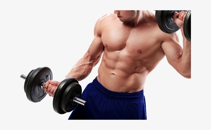 Bodybuilding Png - Gym Workout Images Png, transparent png