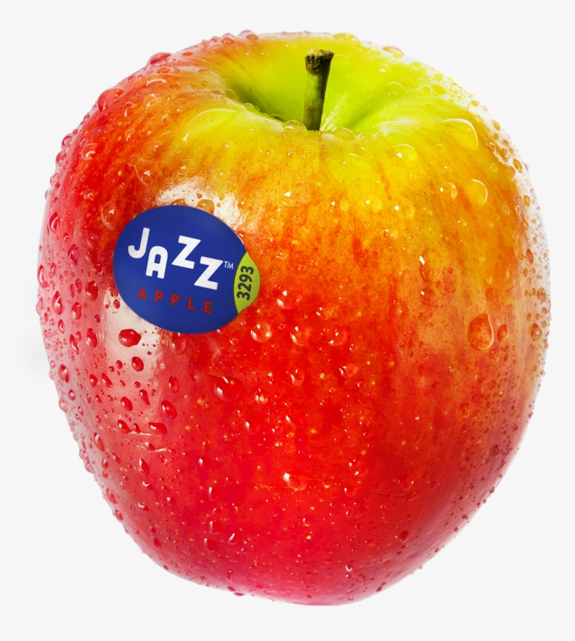 Appearance, transparent png