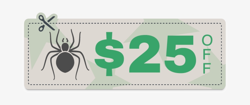 Ecopro Specials Spiders - Number, transparent png
