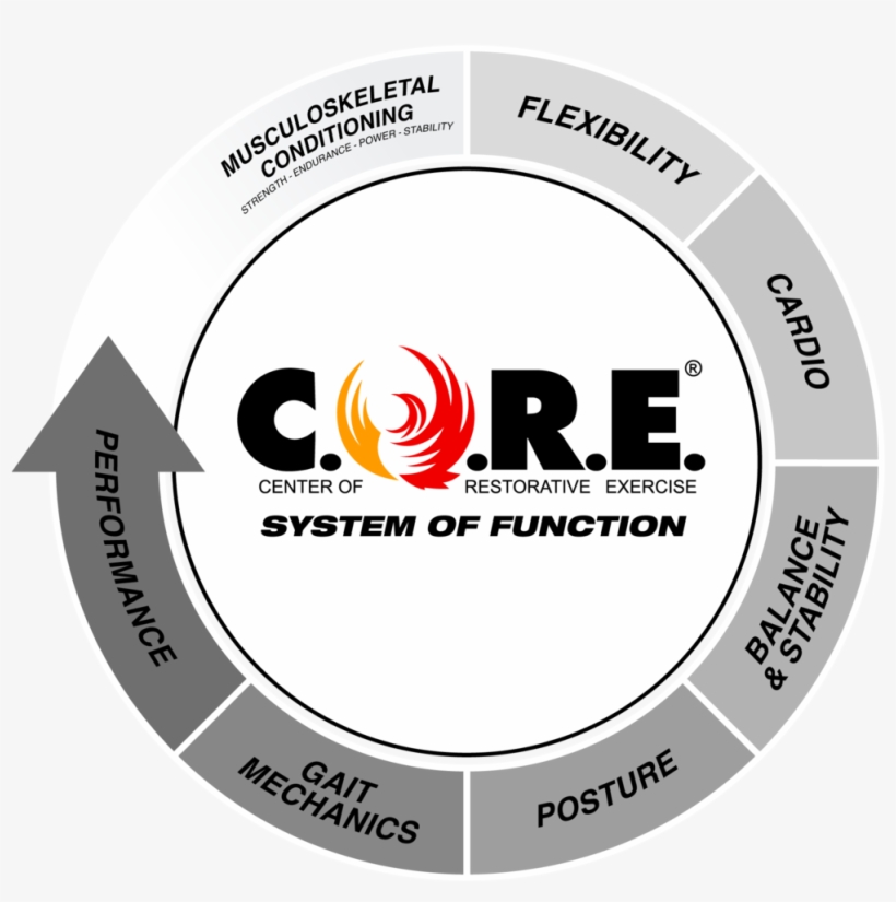 Strength Sof 2017 - Function, transparent png