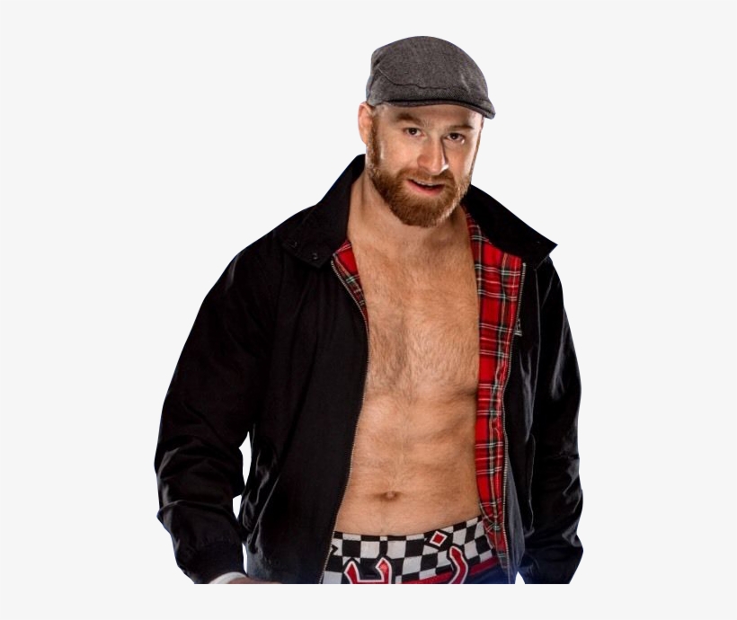 Sami Zayn Png - Sami Zayn En Png, transparent png