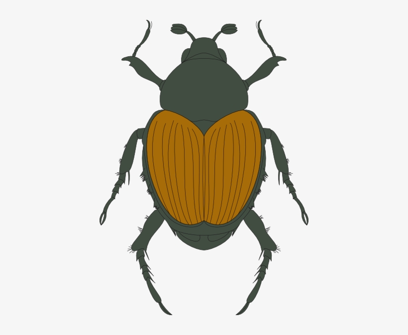 How To Set Use Green And Brown Beetle Icon Png, transparent png
