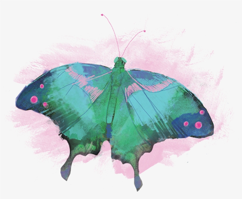 Task 5 Png Superb Designers - Papilio, transparent png