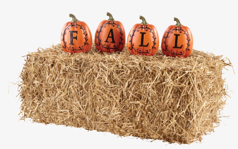 Pumpkin, transparent png