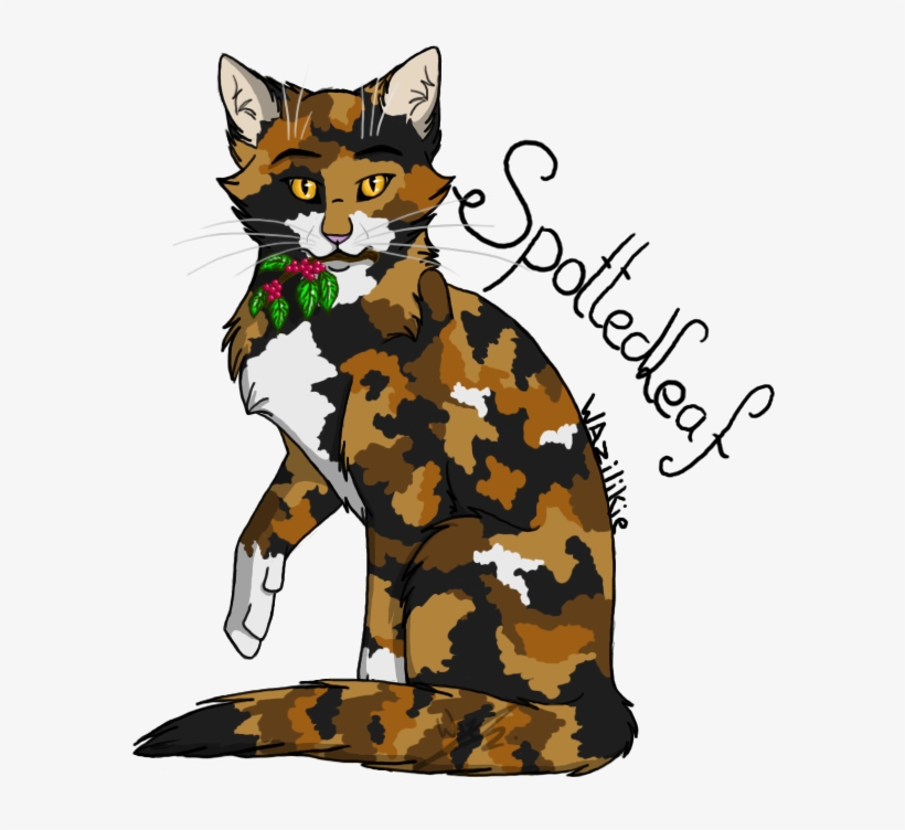 Png Warriors Drawing Spottedleaf - Warrior Cats Spottedleaf, transparent png