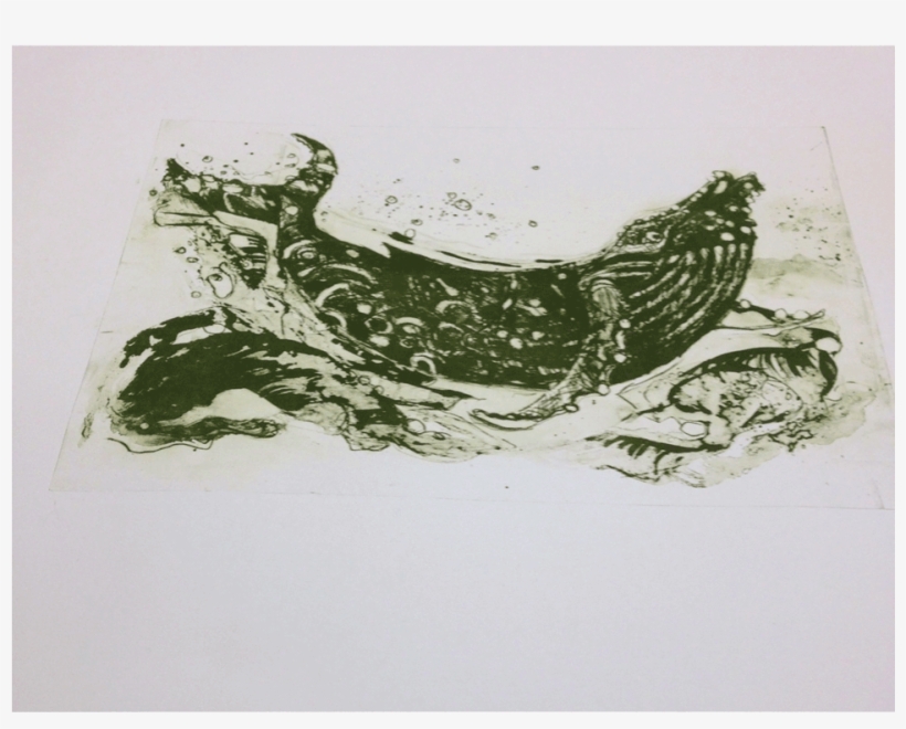 Blue Whale Rescue 1/4 - Blue Whale, transparent png