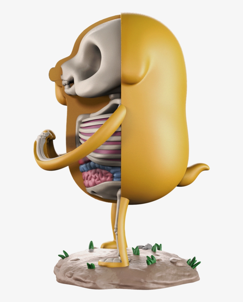 Mighty Jaxx Xxray Adventure, transparent png