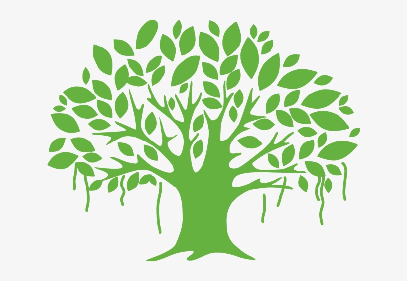 Banyan Tree Clipart Sisu Many Interesting Cliparts - Banyan Tree Clip Art, transparent png