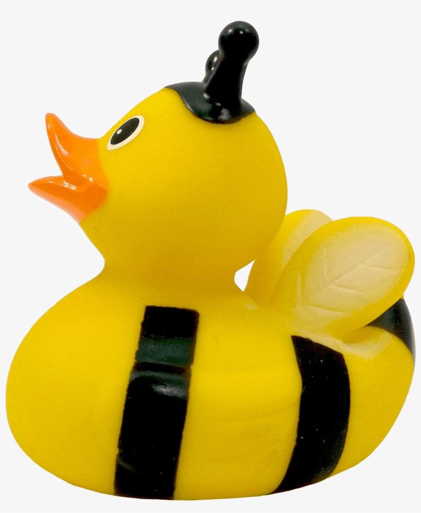 Rubber Duck, transparent png