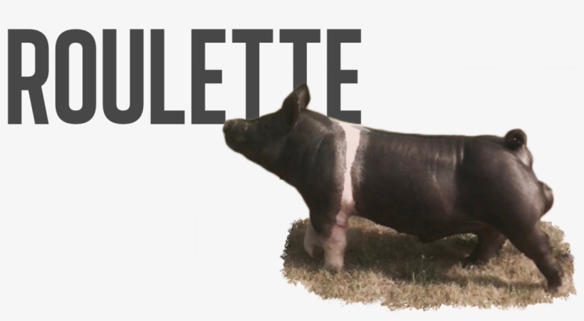 Roulette - Son Feci Bisiklet, transparent png