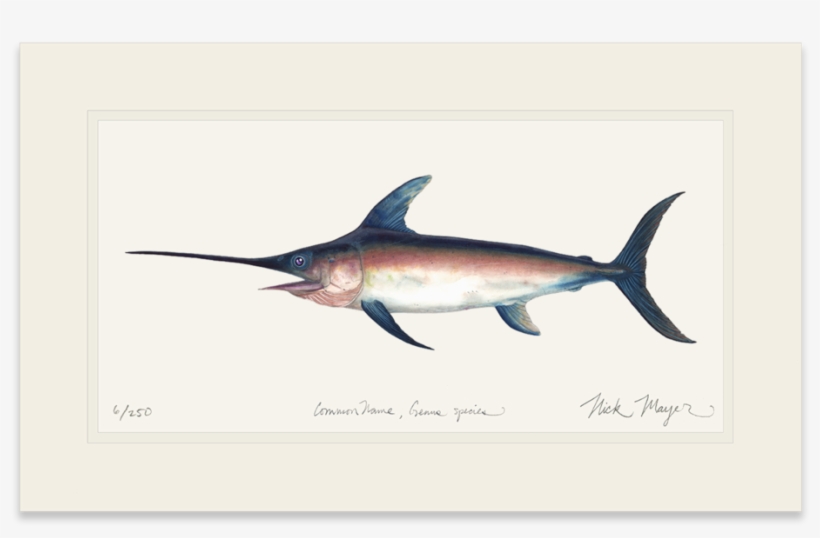 Swordfish - Art, transparent png