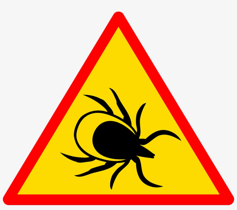 Sign, Road, Road Sign, Traffic, Road Signs, Signpost - Ахтунг Картинки, transparent png