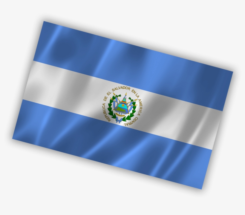 Skynet Worldwide Express La Alianza Que Entrega - Flag, transparent png