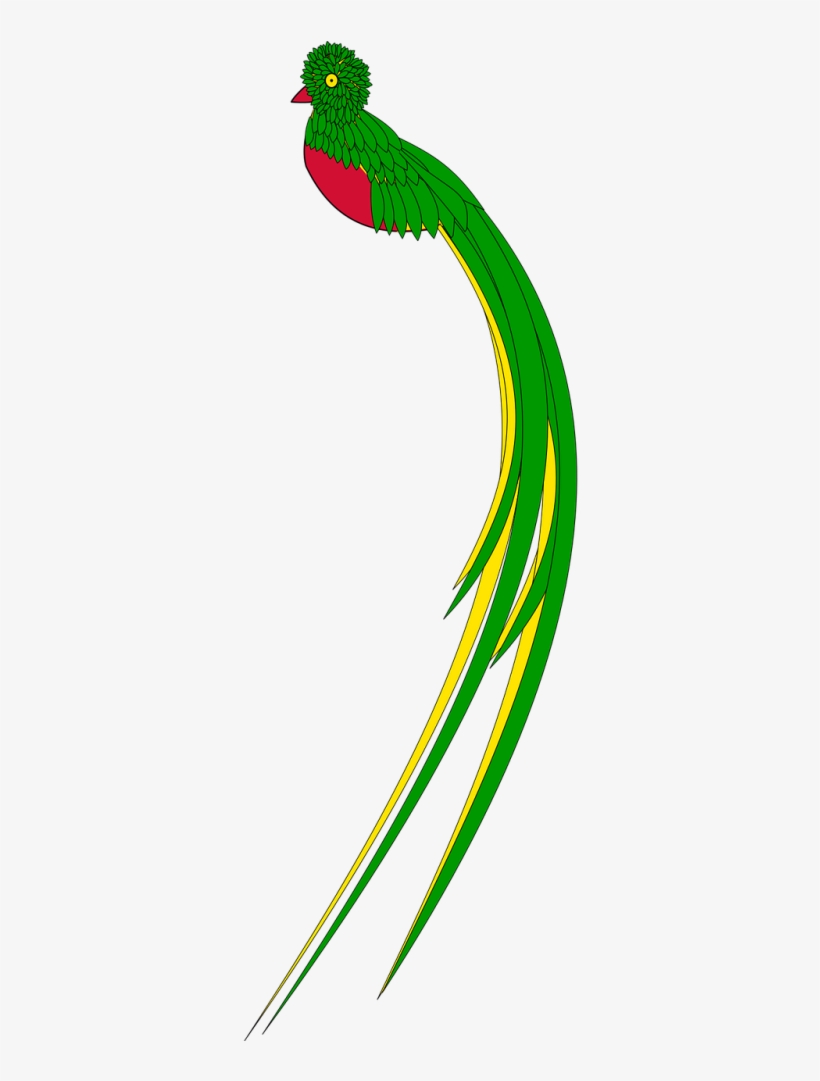 Vector Graphics - Bird Line Drawing, transparent png
