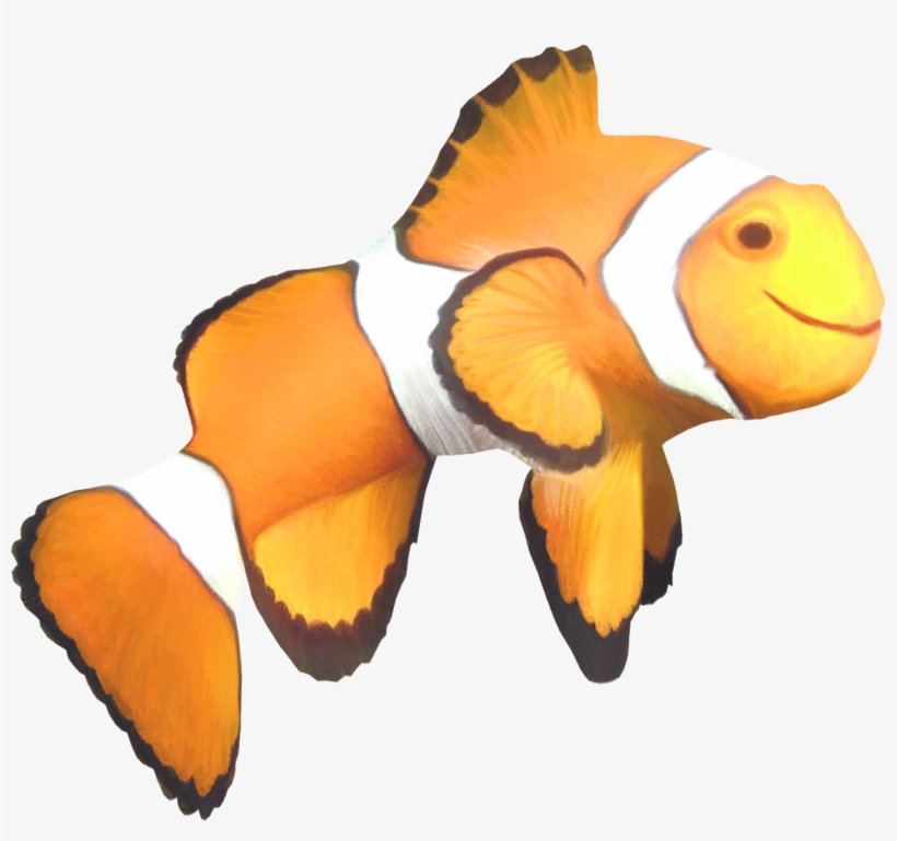 Clown Fish Png - Fish, transparent png